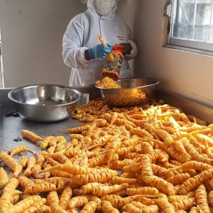  - jalisco
