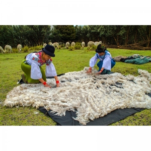  - manejo sostenible del área de conservación del bosque protector zuleta, guadalajara