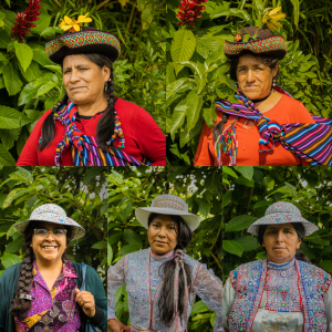  - guadalajara,mejorando la resiliencia climática de comunidades altoandinas peruanas por medio de soluciones basadas en la naturaleza