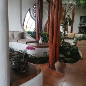  - jalisco,arca nova