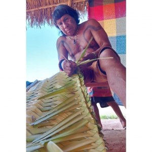  - ka'a namõ jumu'eha katu - aprendendo com a floresta,jalisco