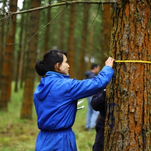 - secuestro y almacenamiento de carbono en plantaciones forestales y carbono negatividad de aglomerados cotopaxi