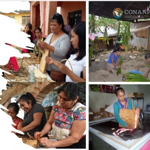  - zapopan,conservación para el desarrollo sostenible 