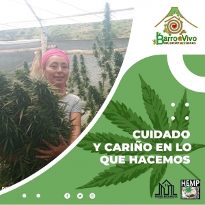  - barro vivo, guadalajara