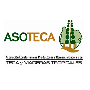  - árbol,jirehamazonia