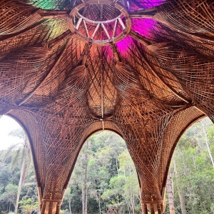  - jalisco,zapopan