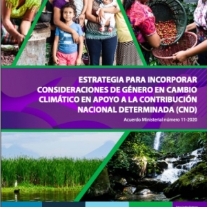  - zapopan,