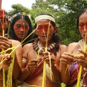  - zapopan,manejo sostenible de viveros de materias primas y fortalecimiento de la calidad de la artesanía tradicional waorani