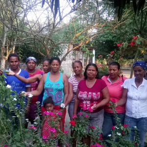  - manglares, pastos marinos y comunidades locales. ,