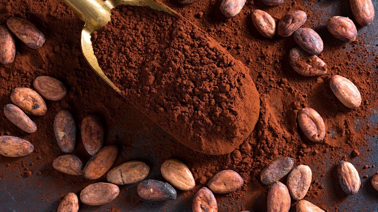 LA RUTA DEL “GRAN CACAO” EN LATINOAMÉRICA